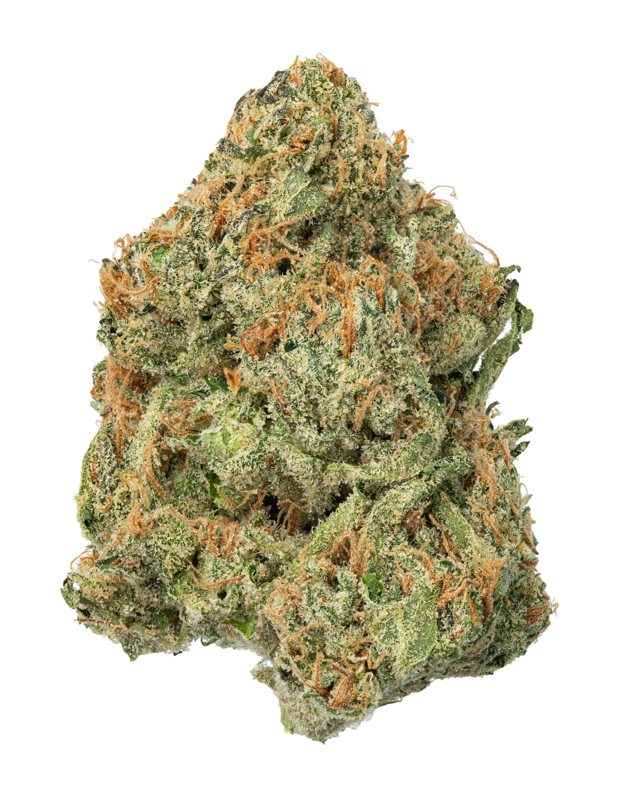 Durban Poison - Fresh