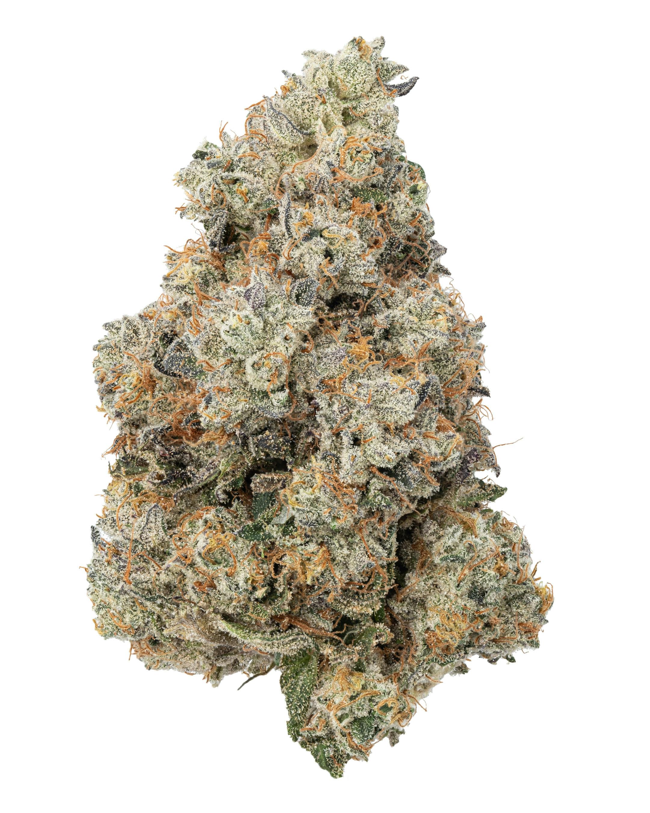 Jet Fuel - Fresh