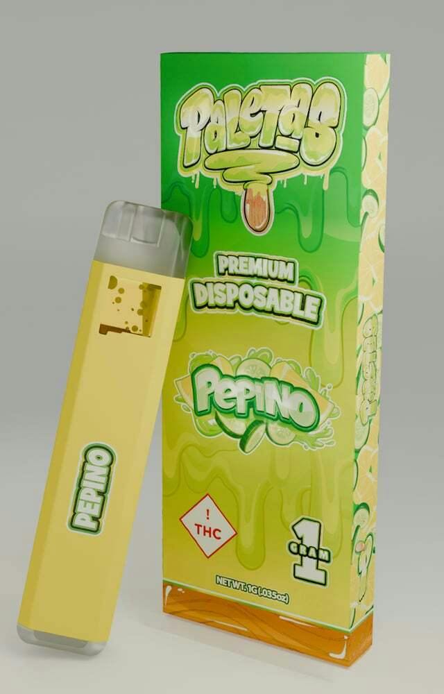 Paleta AIO Pepino (S) 1g
