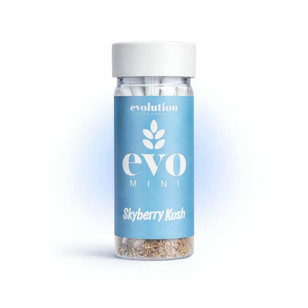 Skyberry Kush | Infused Pre Roll - 2.5 g