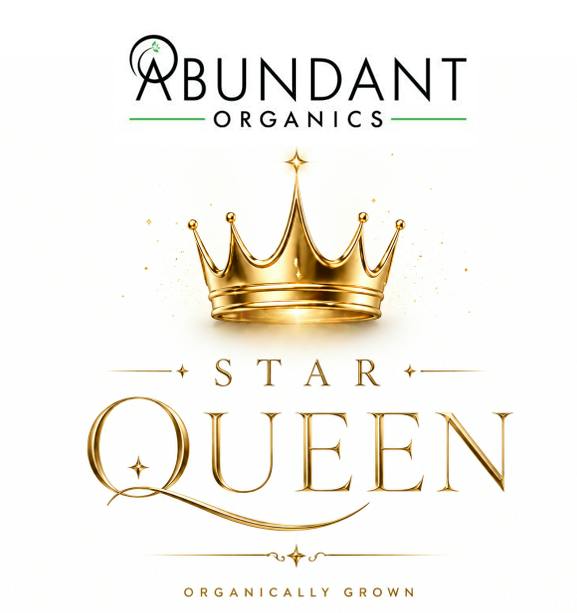 Star Queen | Deli Style Flower at Farm Fresh Medical/Recreational Marijuana Dispensary