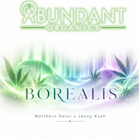 Borealis | Deli Style Flower at Farm Fresh Medical/Recreational Marijuana Dispensary