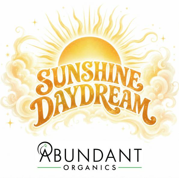 Sunshine Daydream | Deli Style Flower