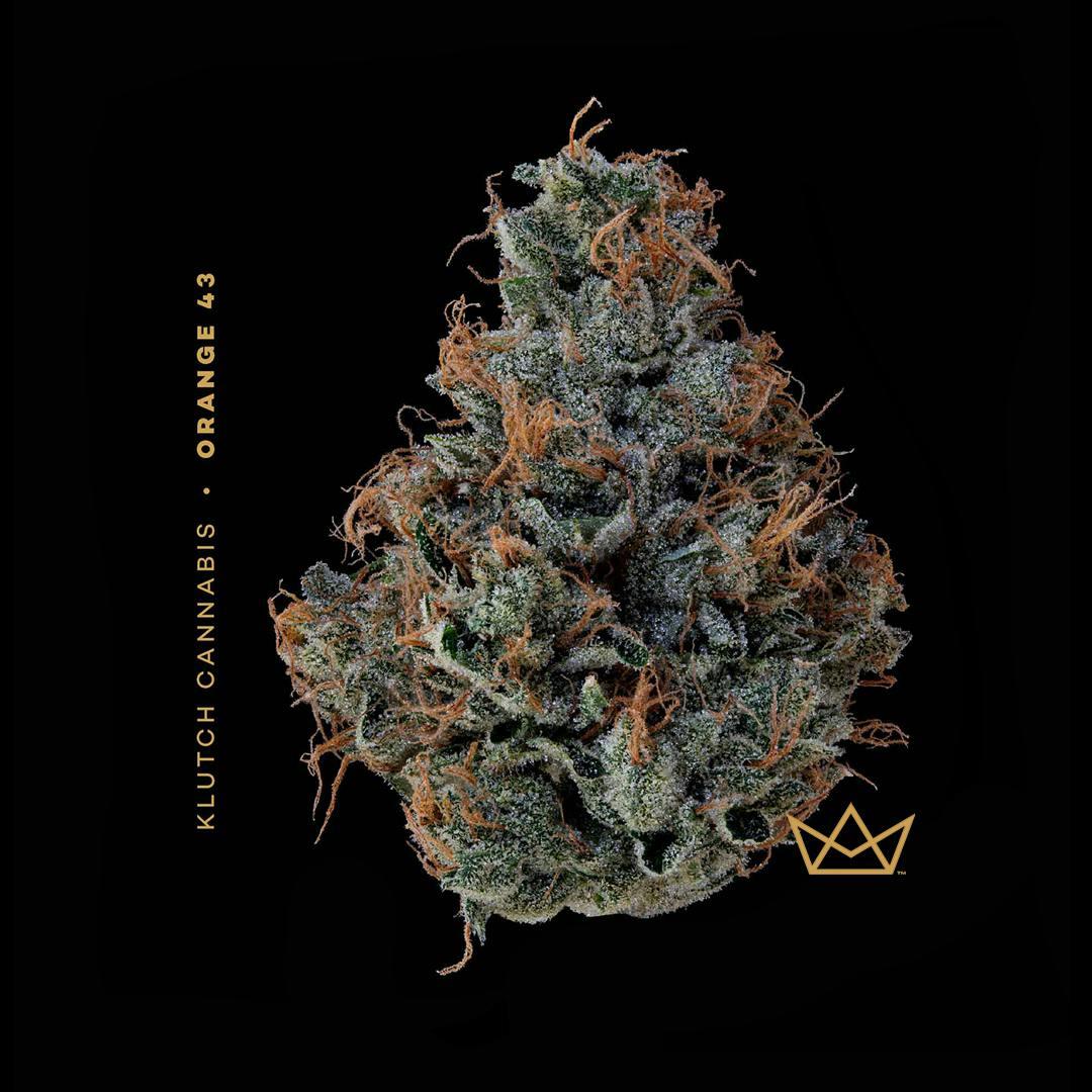 | Orange 43 | cannabis product