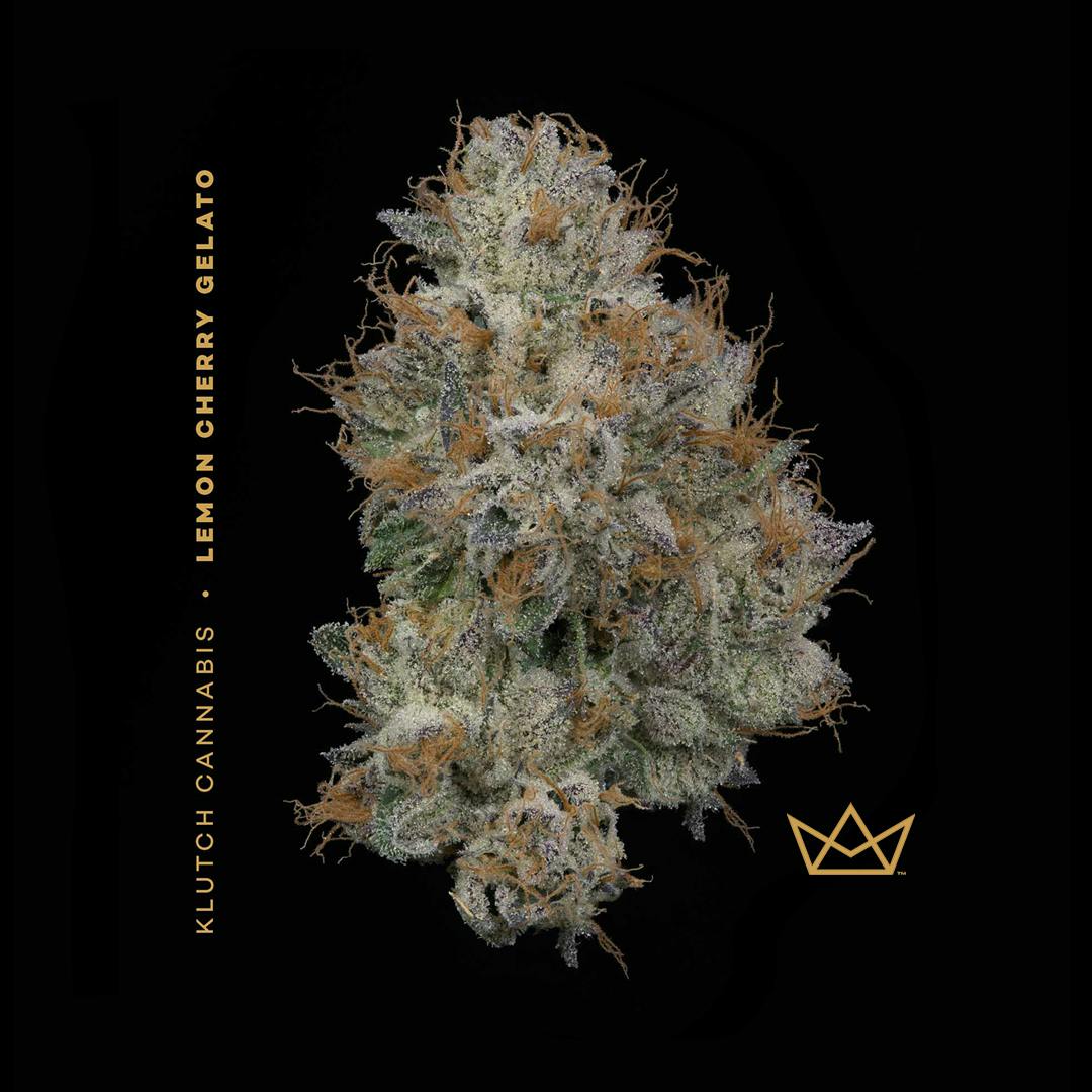 | Lemon Cherry Gelato |