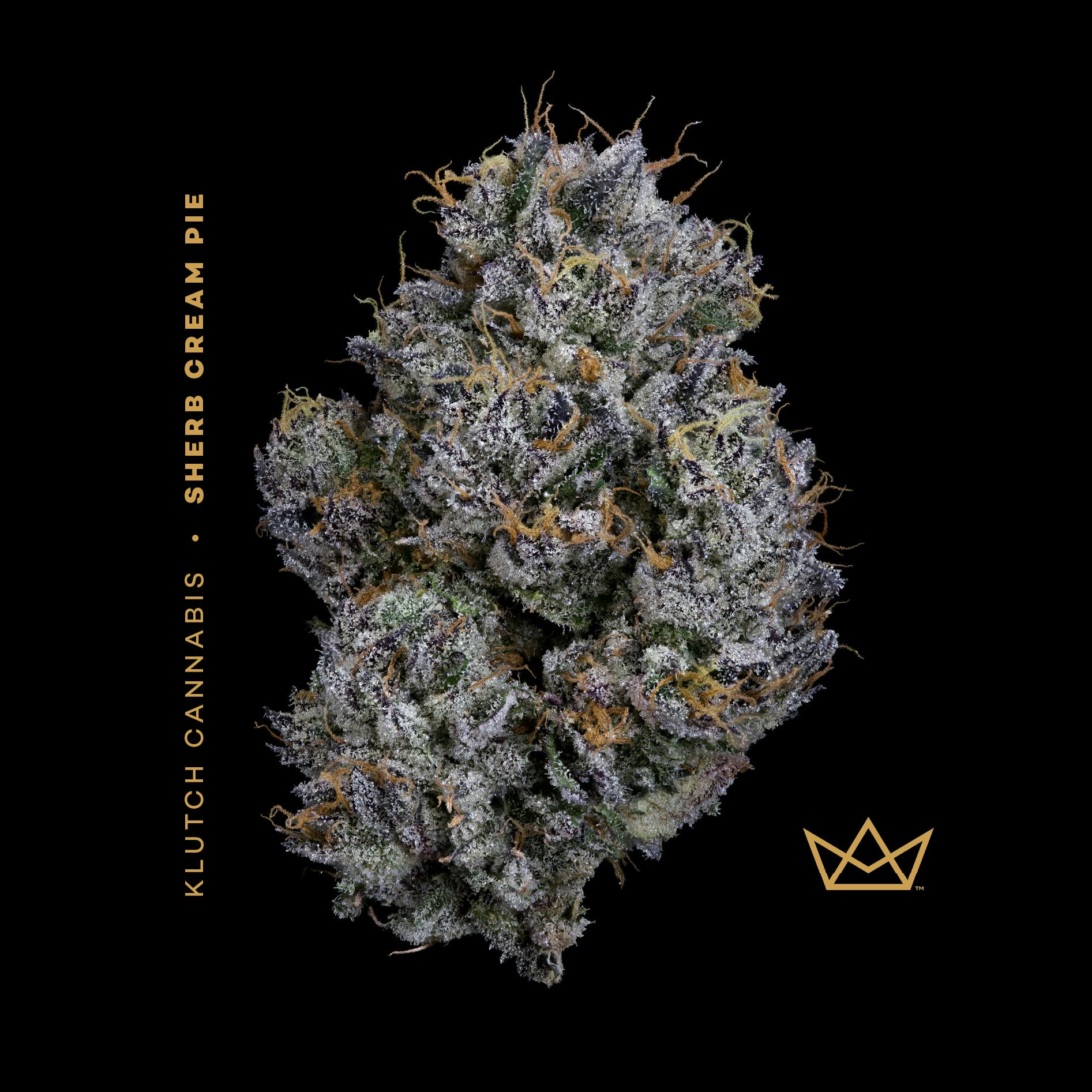 | Sherb Cream Pie |