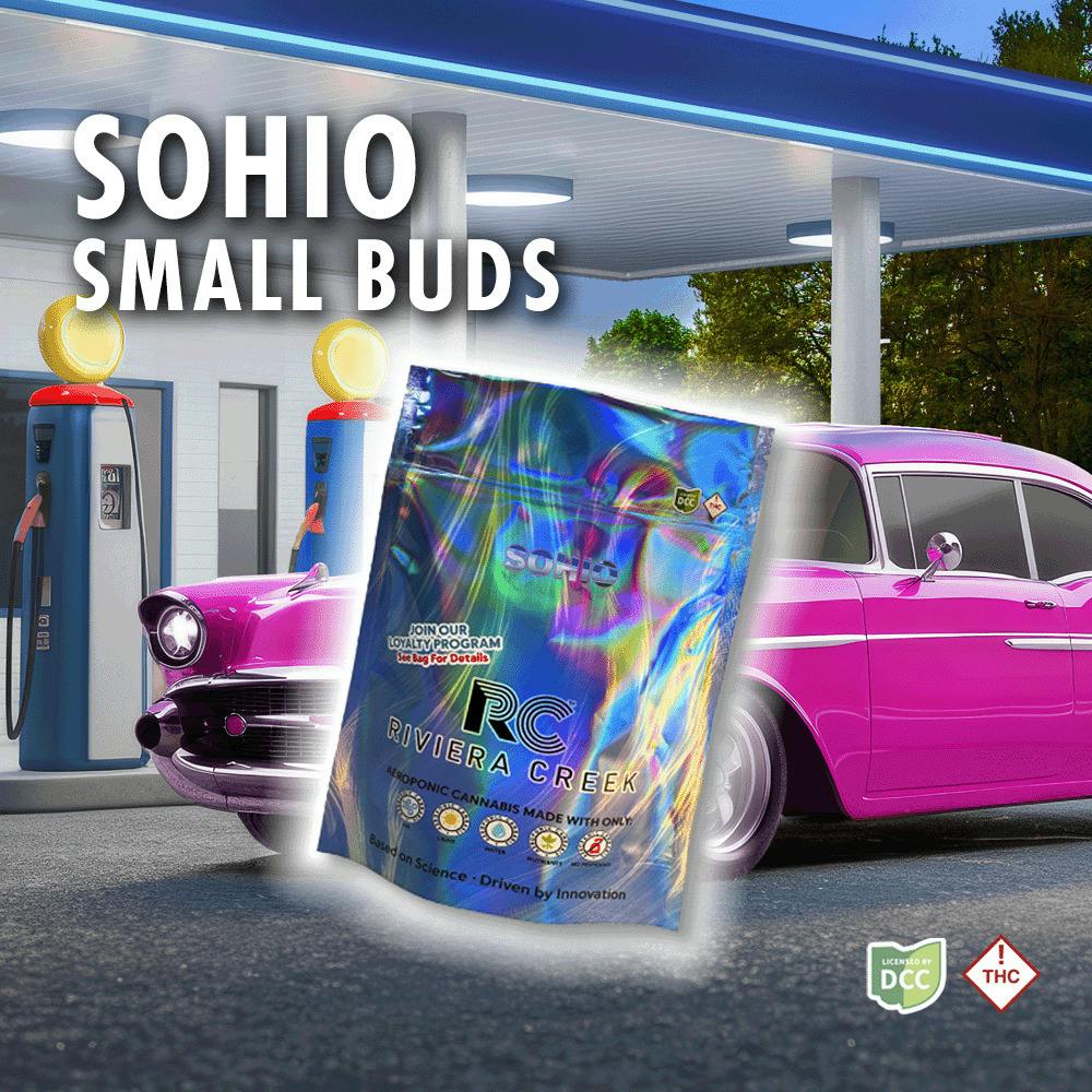 Sohio Small Buds