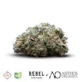 Double OG CHM