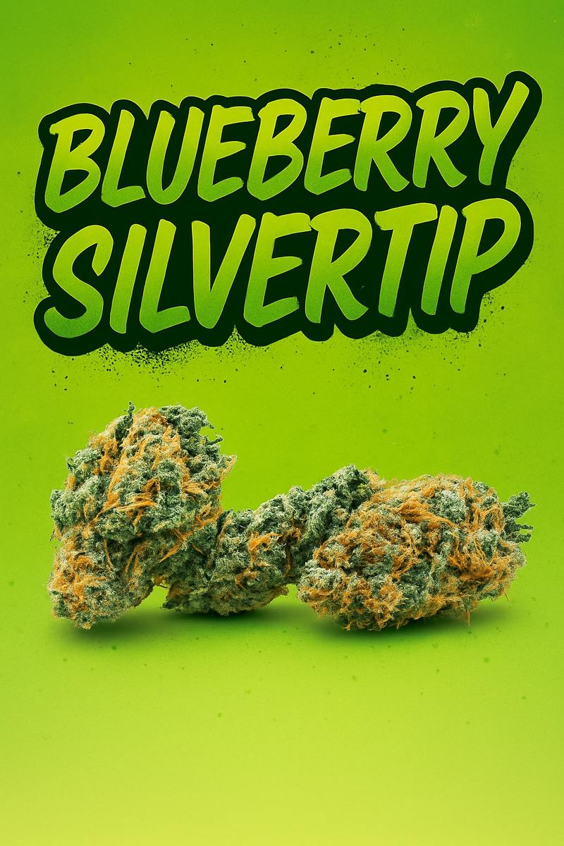 Tier 1 - Blueberry Silvertip - cannabis product