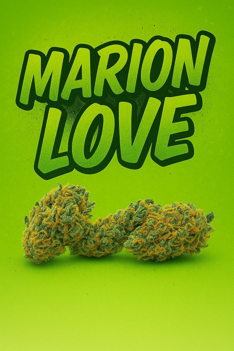 Tier 2 - Marion Love -