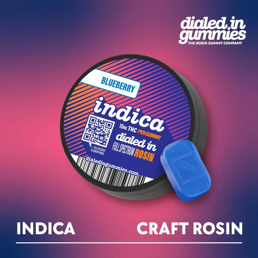Dialed In Classics Rosin Gummies 100mg - Indica Blueberry