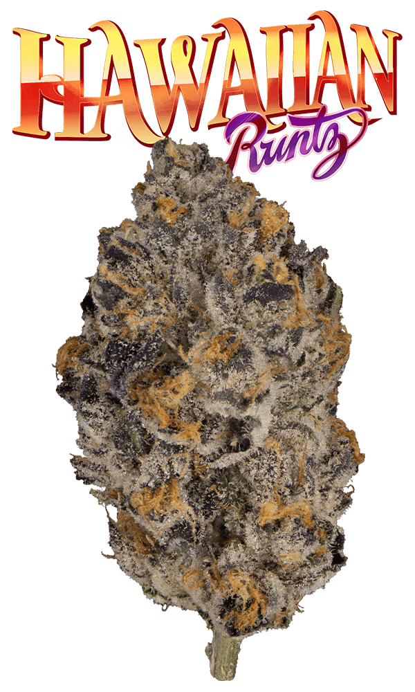 Hawaiian Runtz #8