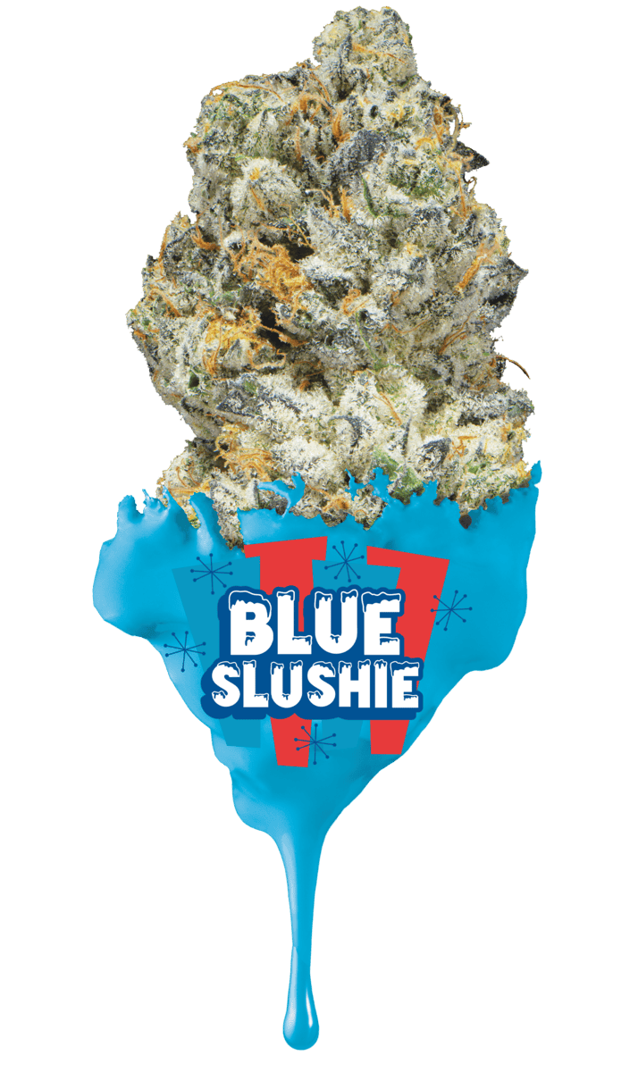 Blue Slushie #3