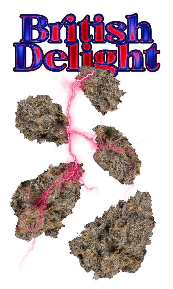 British Delight 7g Juniors