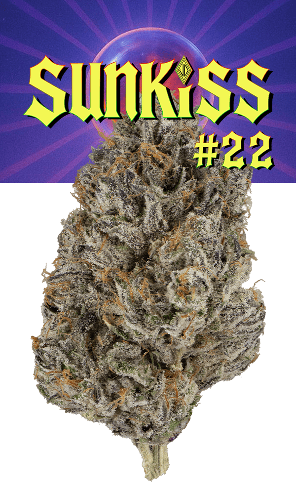 Josh D 3.5g Flower - Sunkiss #22 (Glass Jar)