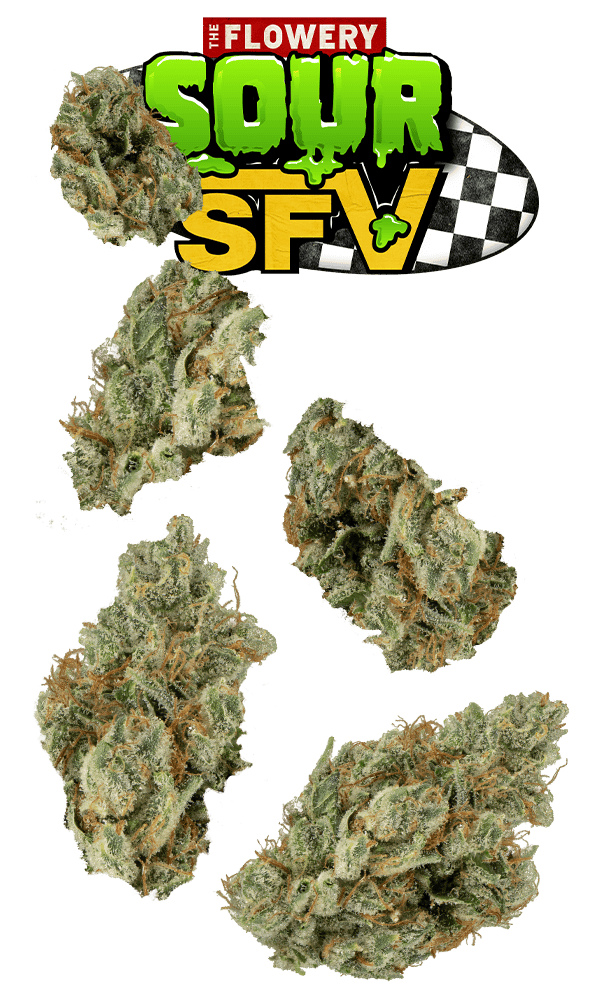 Sour Sfv Juniors