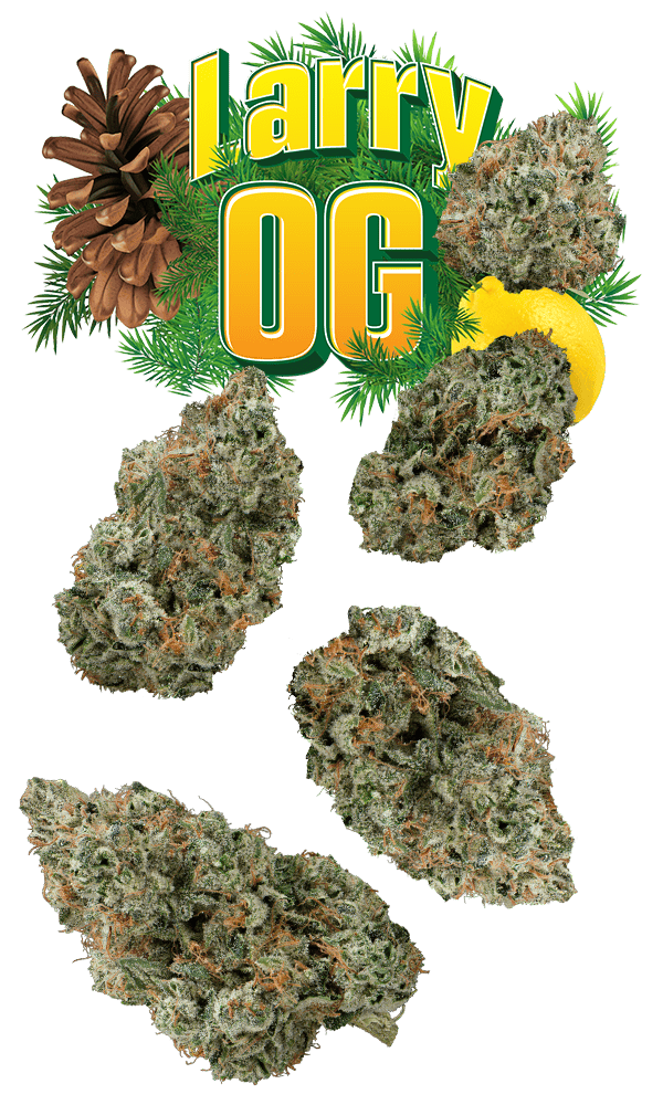 Larry Og Juniors