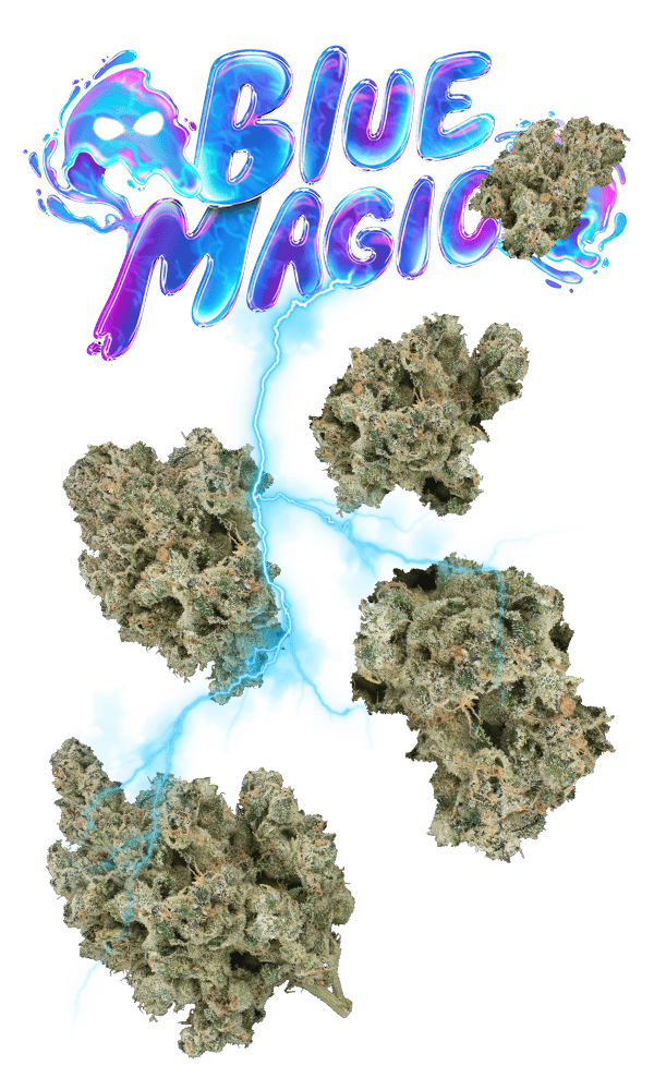 Blue Magic Juniors