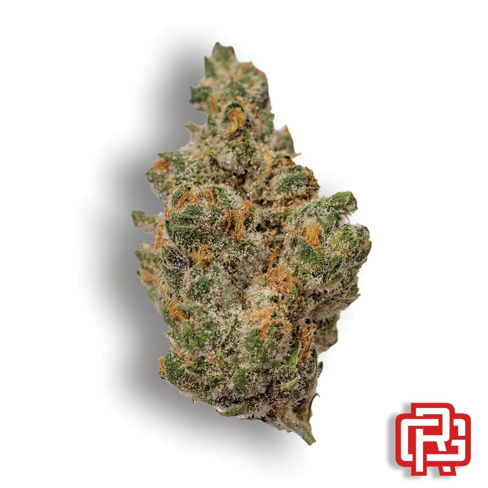 Super Boof Flower: Otis Gardens