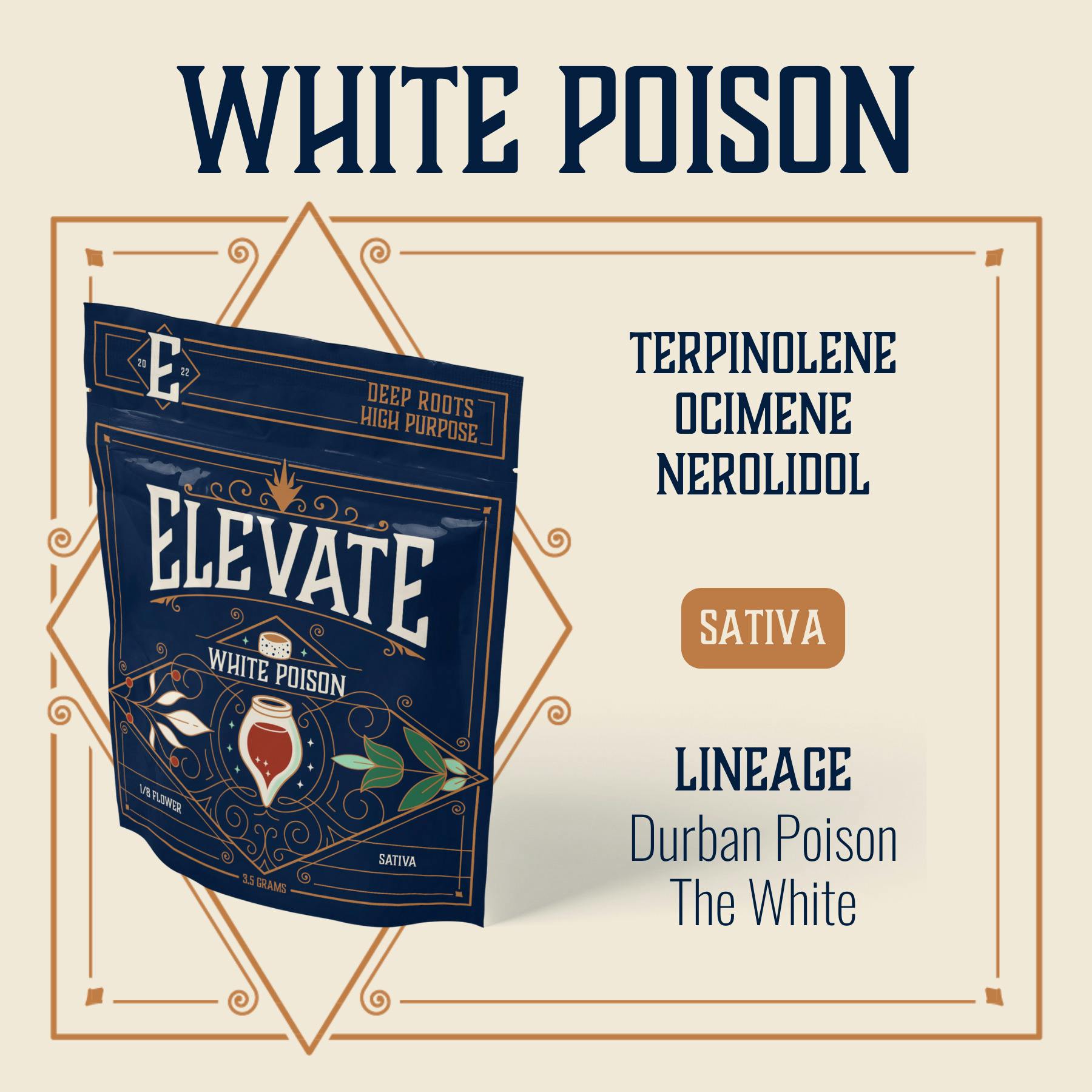 White Poison Whole Flower