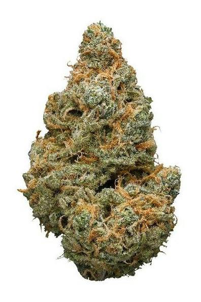 Sungrown Red Dragon Whole Flower