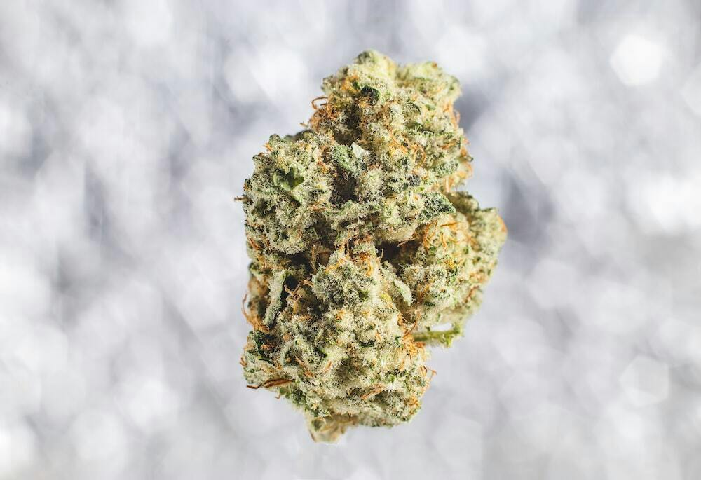 Zoap | Hytek | Bulk Flower by Hytek