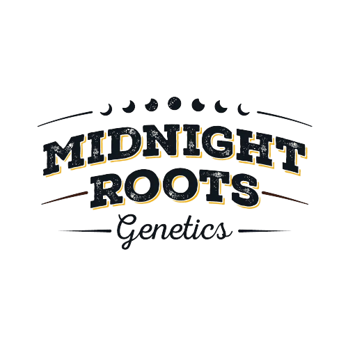 Midnight Bar | Orange Cream Milk Chocolate | 200mg by Midnight Roots