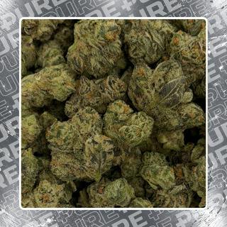 Trufflealoha #10