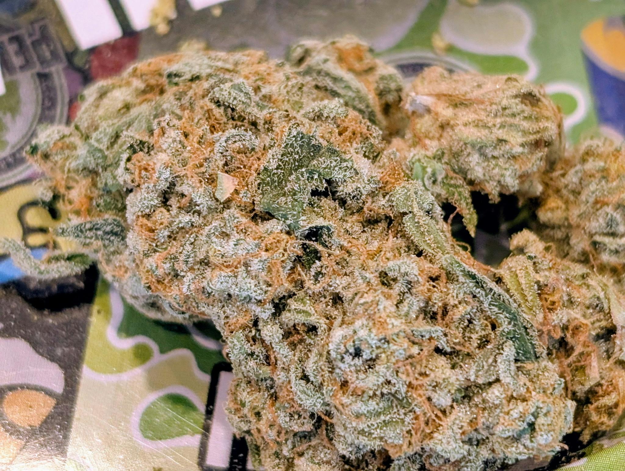 Orange Chicken - Gold Tier - Lightly Seeded cannabis product