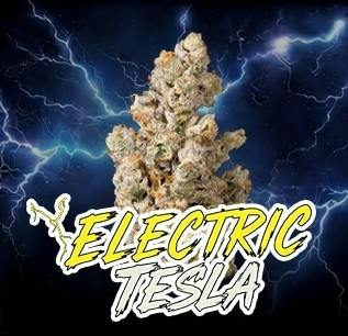 Electric Tesla - Platinum Tier
