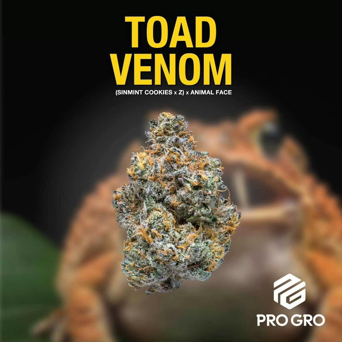 Toad Venom - Diamond Tier cannabis product
