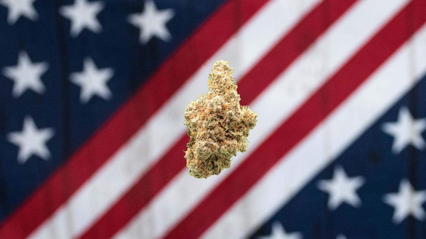 Astronaut Status - Gold Tier cannabis product