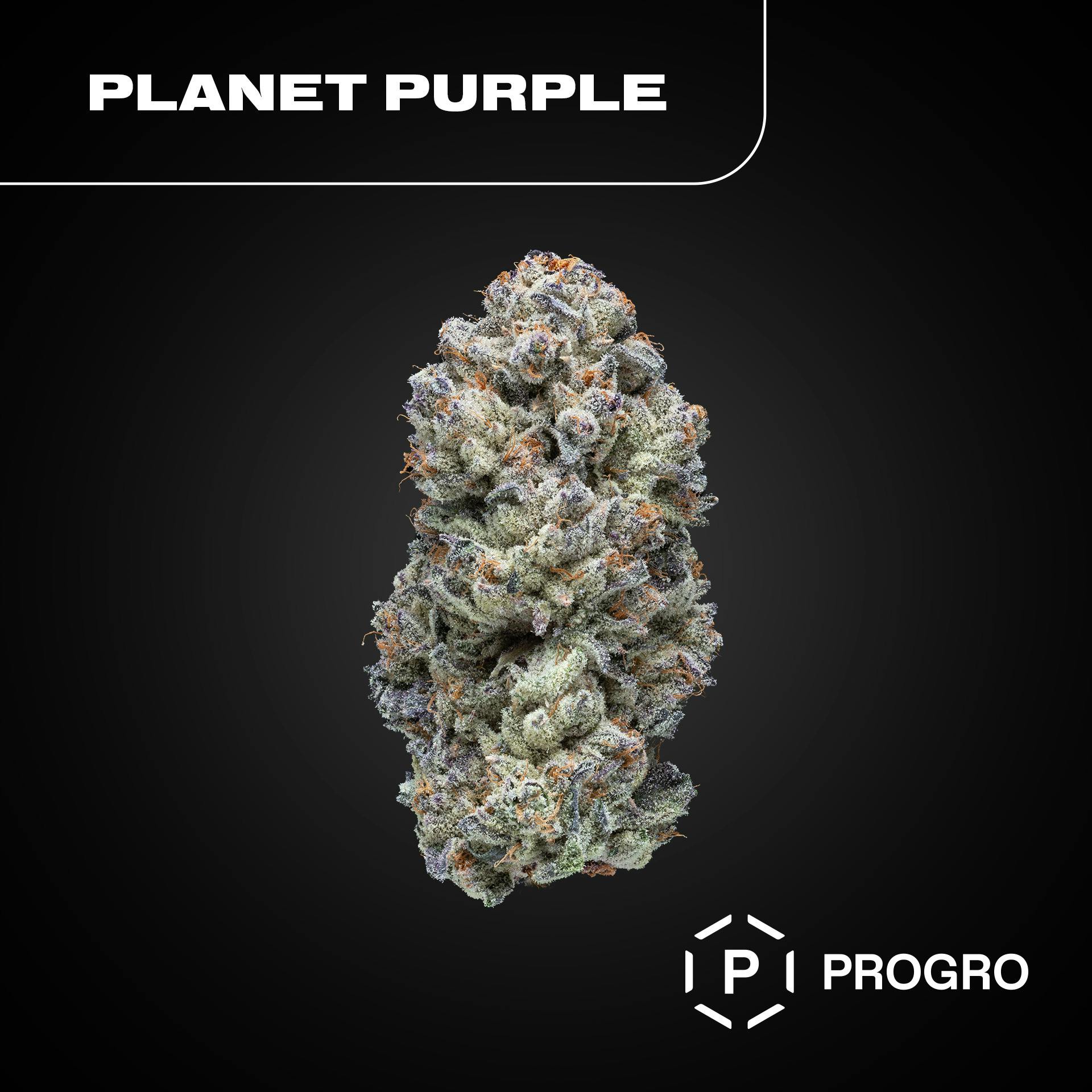 Planet Purple - Shake