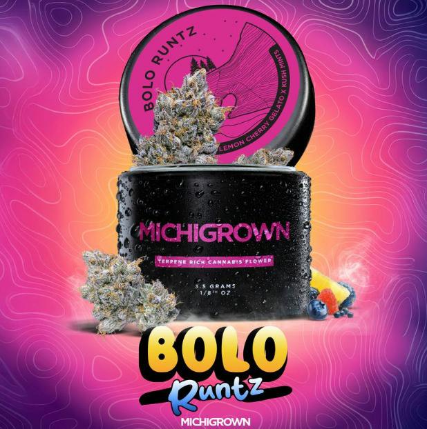 Bolo Runtz - Platinum Tier
