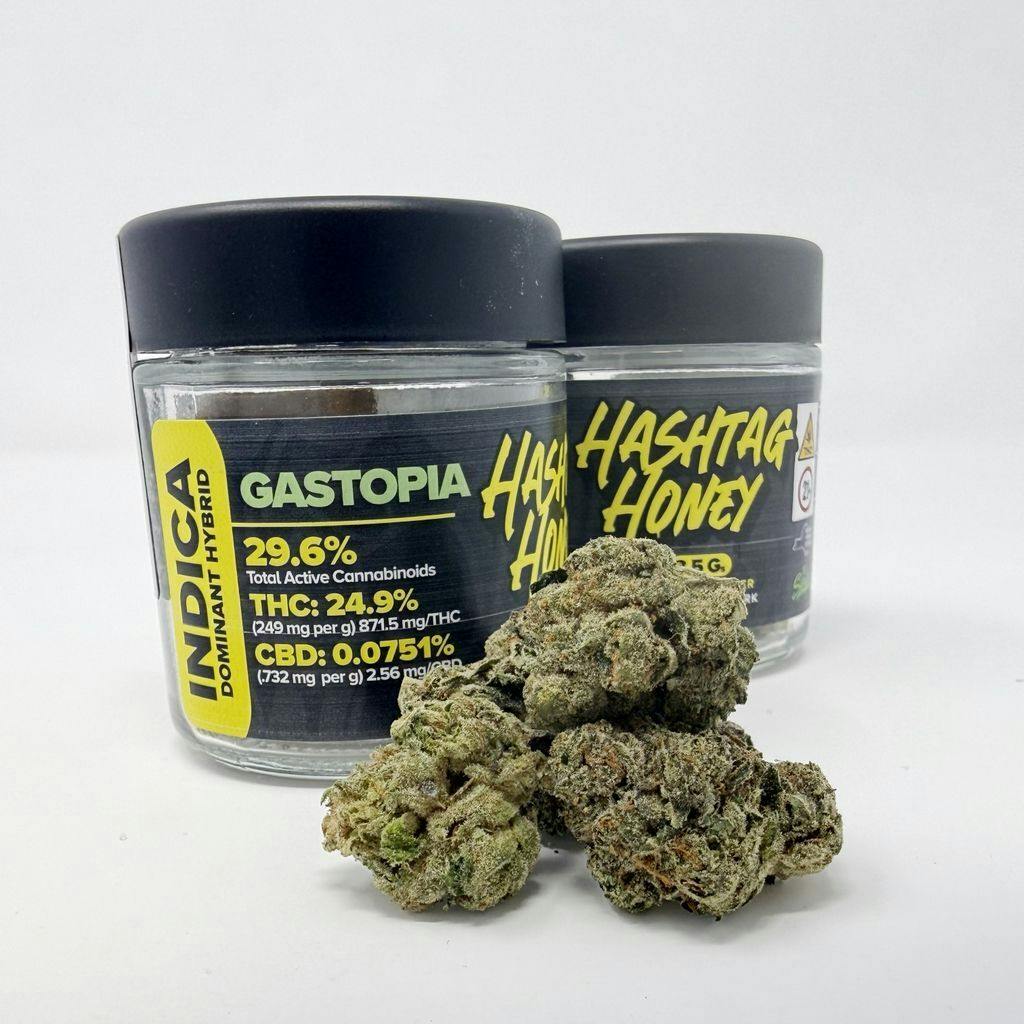 Hashtag Honey | Gastopia | Big Buds | 3.5g by Hashtag Honey