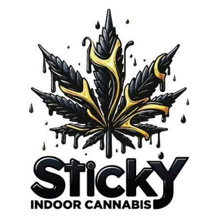 Sinmint Cookies | 1G Rosin All In One