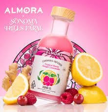 Tropical Ginger Berry Lemonade | 100MG Bottle