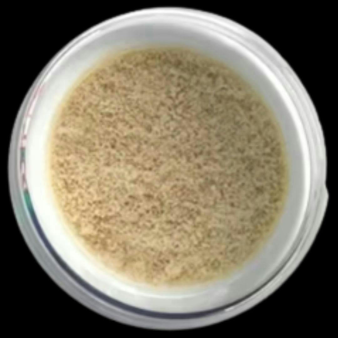 / Biscotti - White Widow 1g Bubble Hash