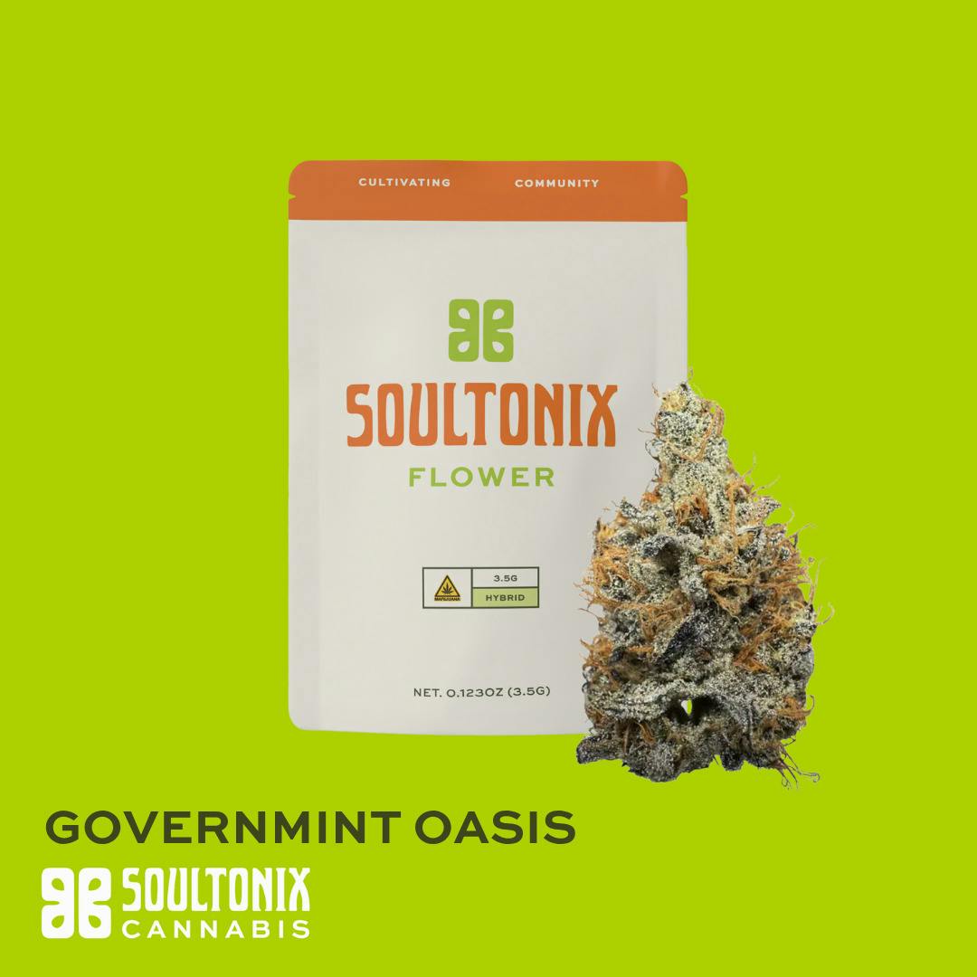STX - Governmint Oasis