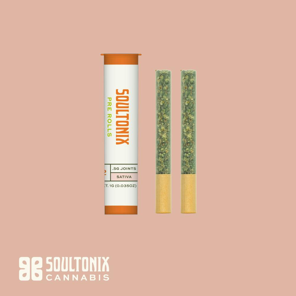 STX - Governmint Oasis 2pk Pre-Roll