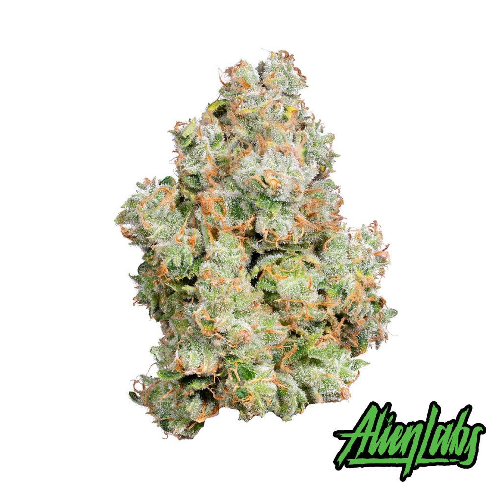 Alien Labs XJ-13 Whole Flower 3.5g