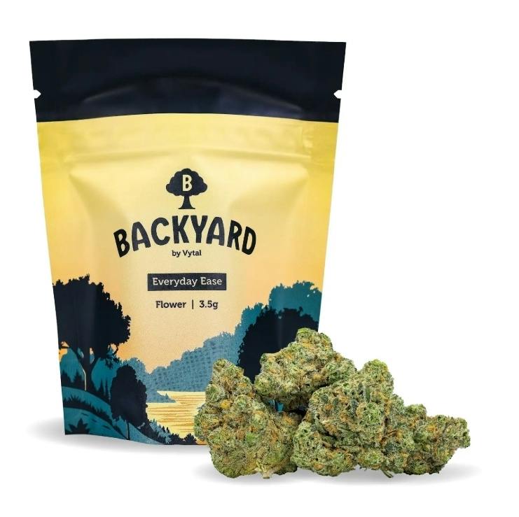 Backyard Grape Zest Diesel Whole Flower 3.5g at Curaleaf Dispensary Gettysburg