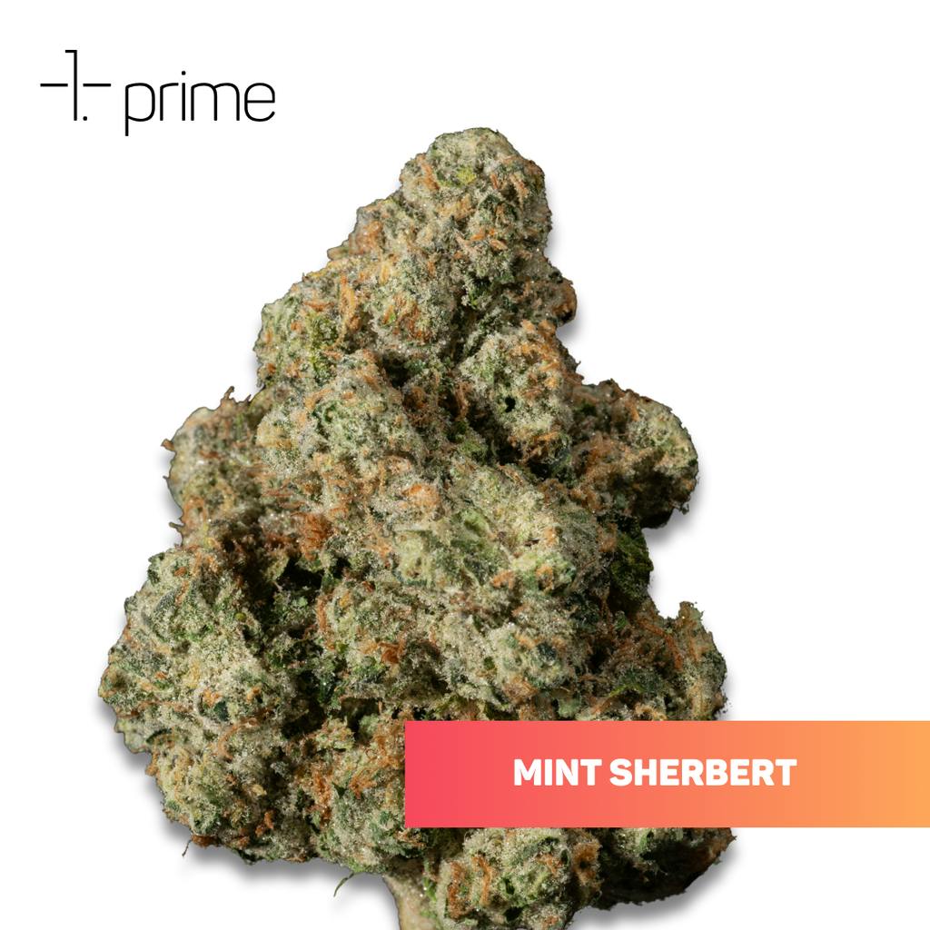 Prime Wellness Mint Sherb Whole Flower 3.5g