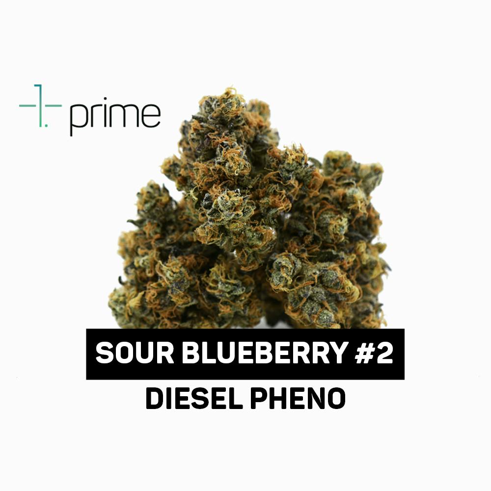 Prime Wellness Sour Blueberry #2 Whole Flower 3.5g