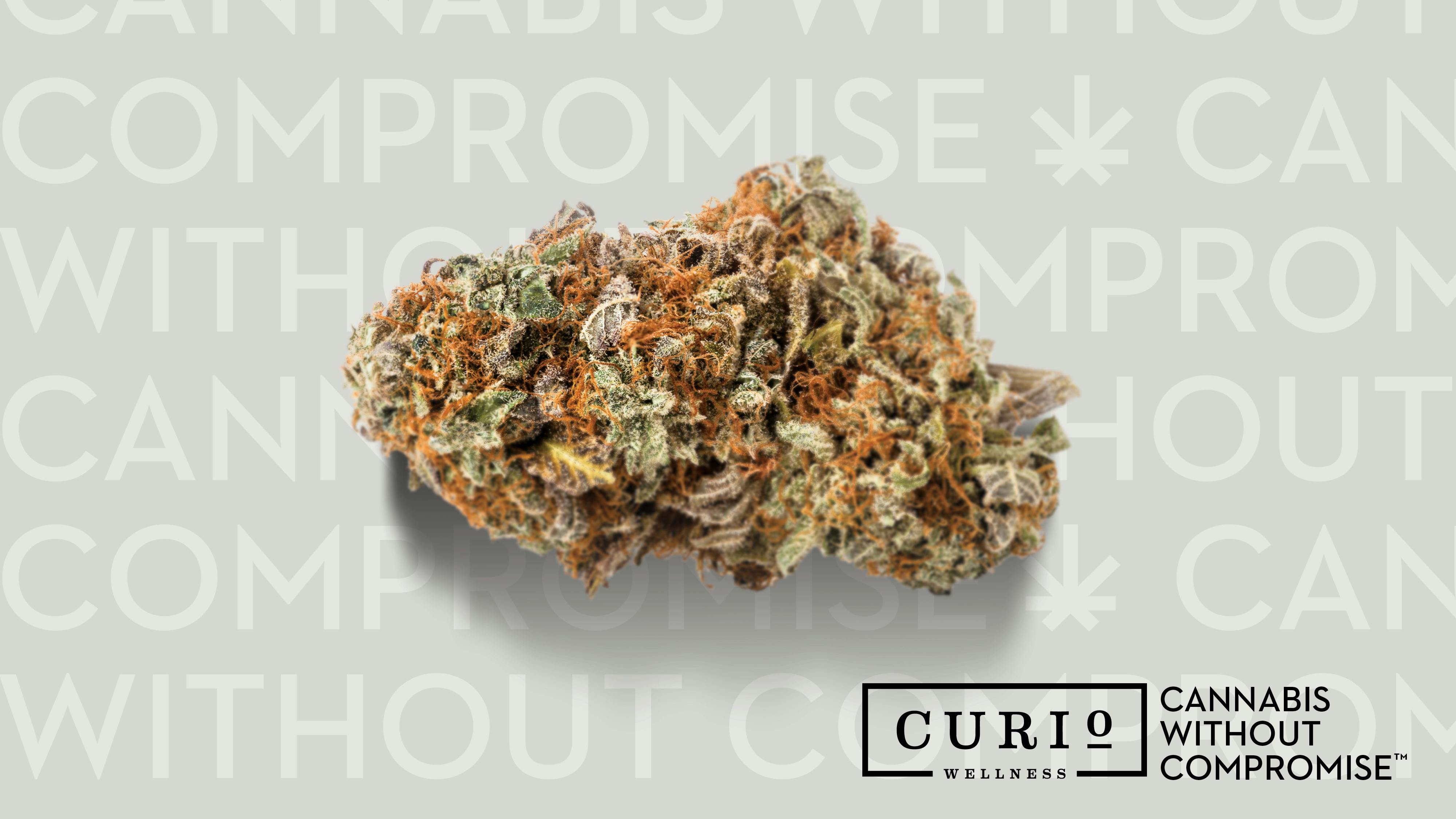 Crescendo 3.5g - Curio (Pre-Packed)