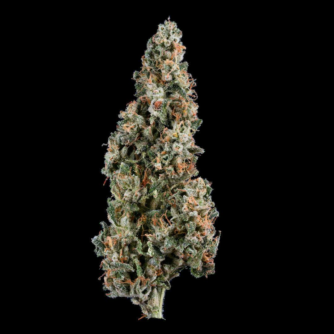Lumberjack Smalls 7g - Grassroots (Pre-Pack)
