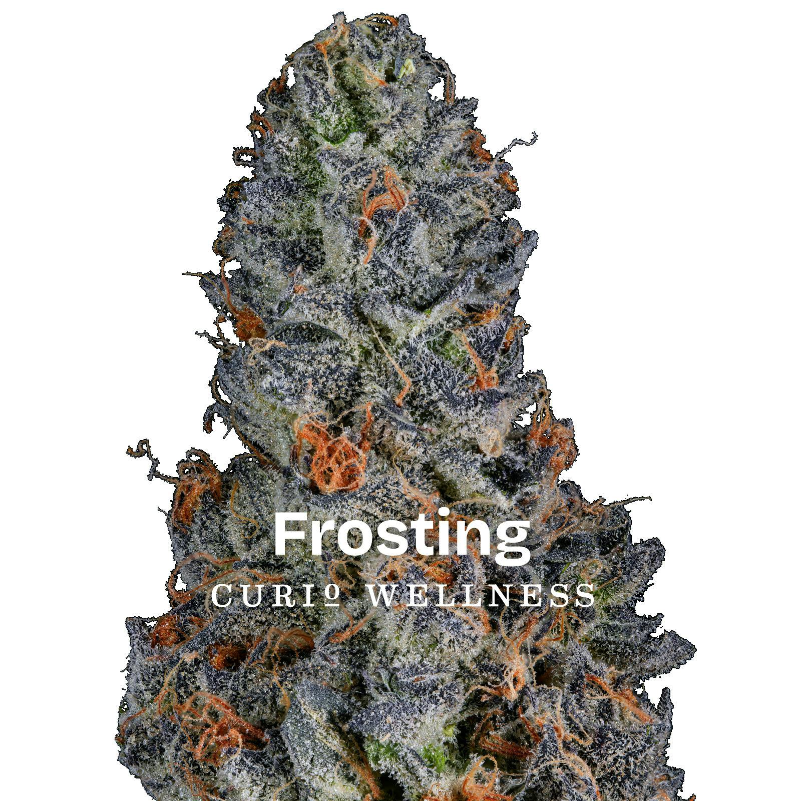 Frosting 3.5g - Curio (Pre-Pack)