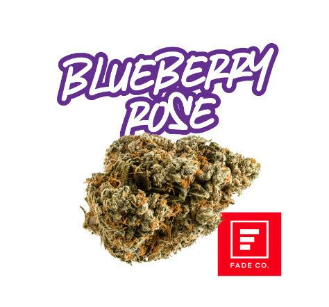 Blueberry Rose 3.5g - Fade Co. (Pre-Pack)