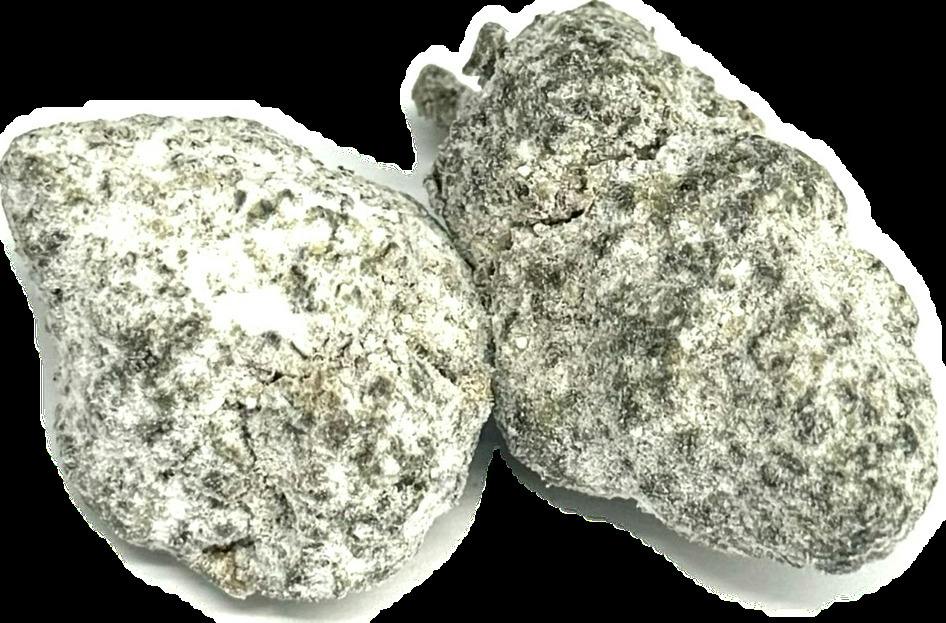Deli Snowballs - Zootiez - Sunset Sherbert
