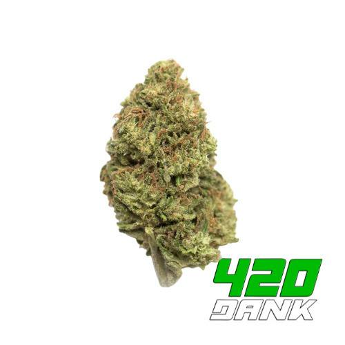 Deli Flower - Local Grove - PBR